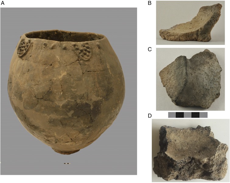 Scientific figure showing an early Neolithic Georgian jar and three excavated jar fragments