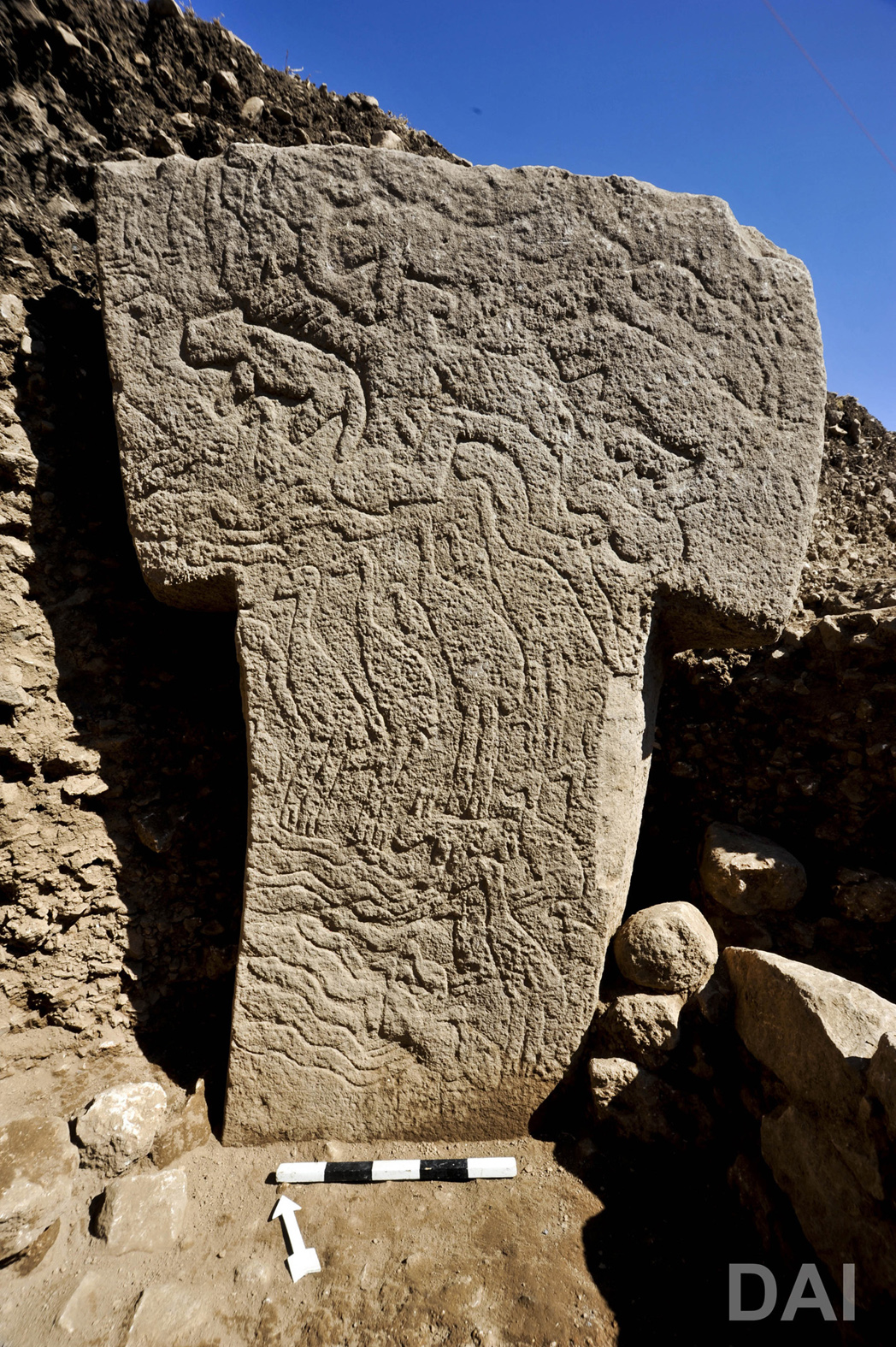 Close view of Göbekli Tepe Pillar 56 with rows of carved animals